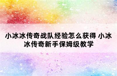 小冰冰传奇战队经验怎么获得 小冰冰传奇新手保姆级教学